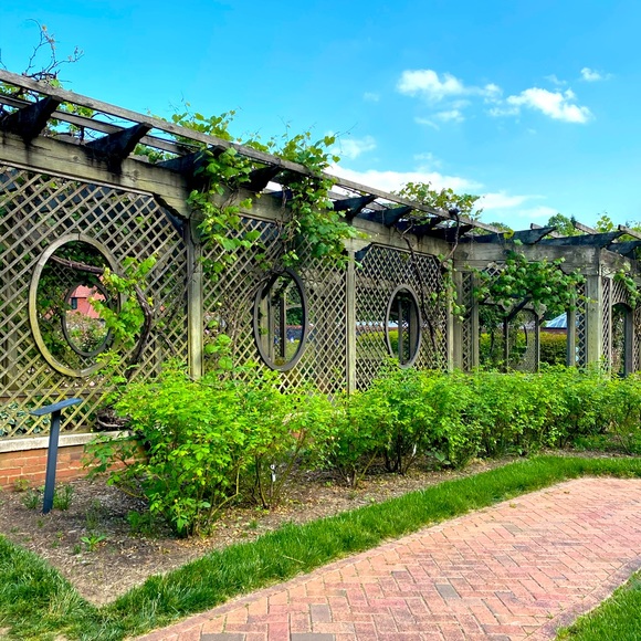 Meet your Posher, Brianna - Picture 1 of 7